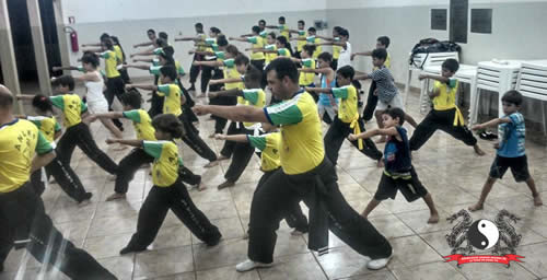 Kung fu kf2